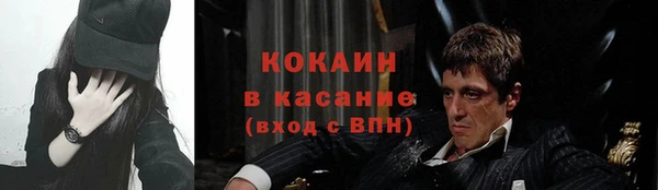 стаф Алексин