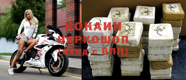 стаф Алексин