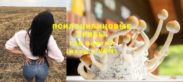 ешки Арсеньев
