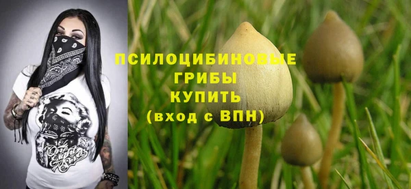 ешки Арсеньев